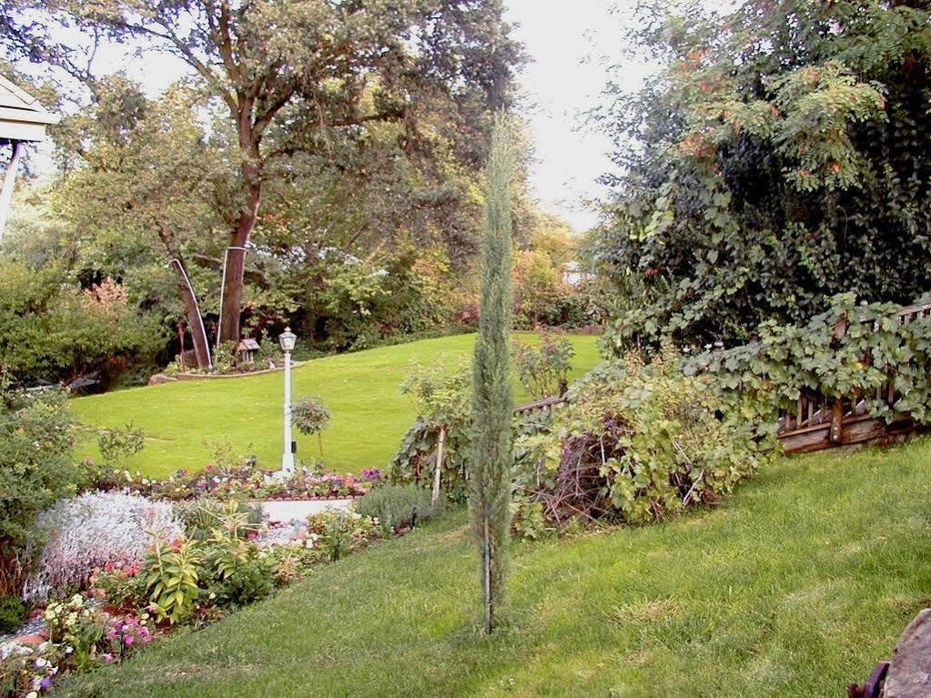 Robin'S Nest Bed & Breakfast San Andreas Екстериор снимка